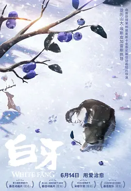久久夜精品va视频免费观看